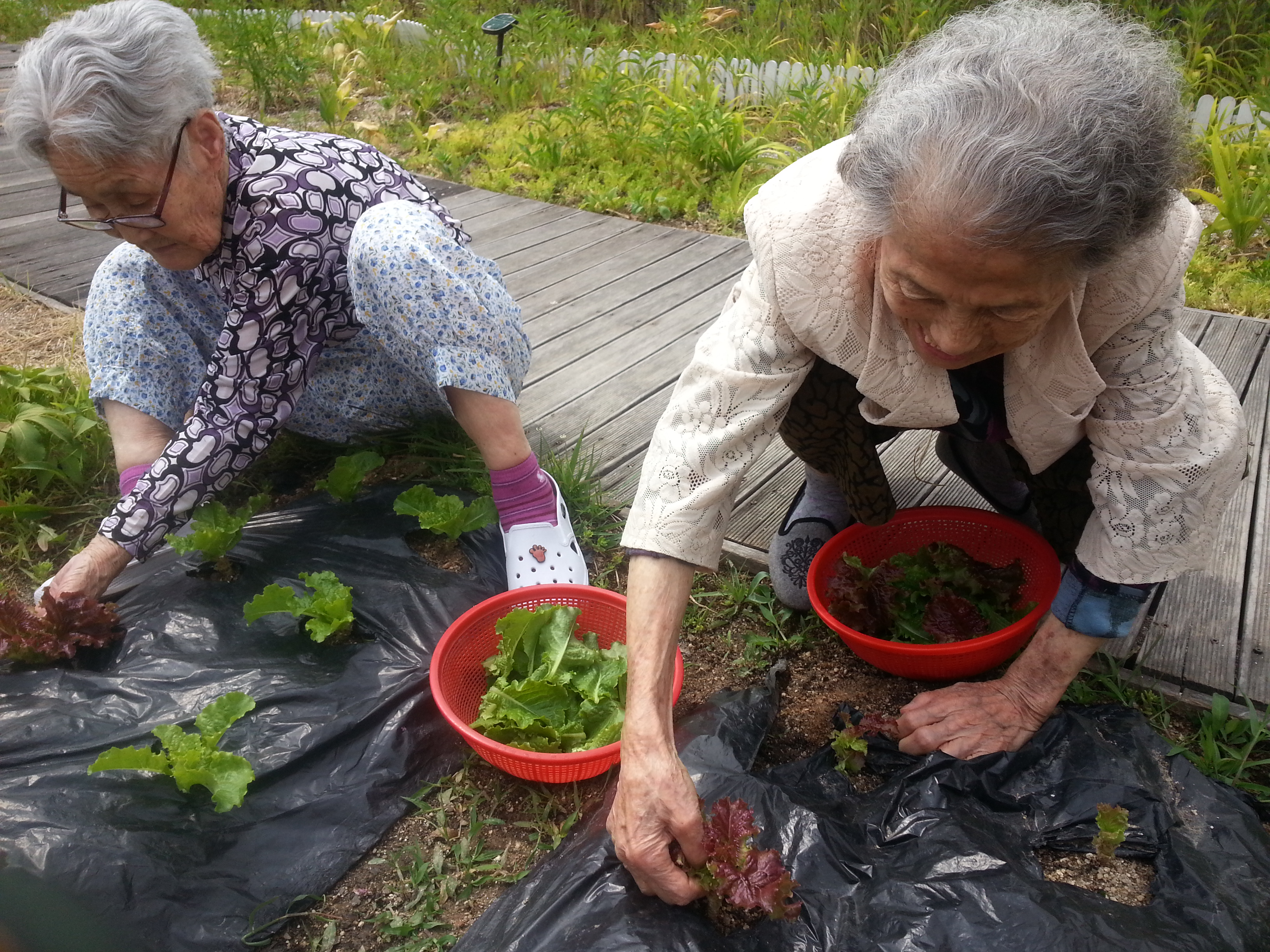20150608_103352.jpg